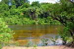 141 amazonas   river acari
