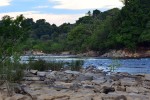 163 amazonas   river acari