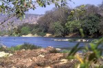 10 karnataka   kaveri river