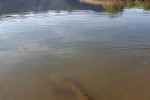 11 aragon   river ebro   river segre